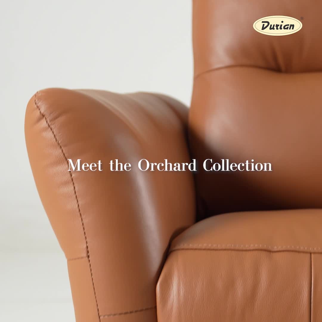 Buy Orchard One Seater Brown Leather Recliner Online at Durian